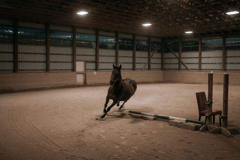 Hobbyhorse Haven - Image 2