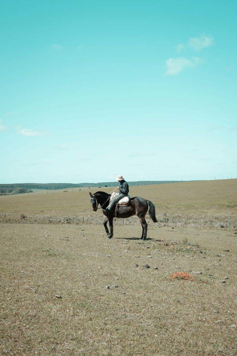 Hobbyhorse Haven - Image 8